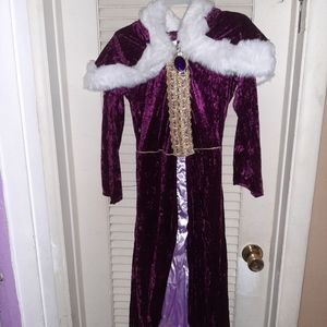 Purple Winter Dress Costume